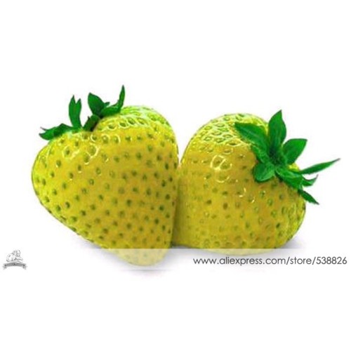 1 Professional Pack, approx 200 Seeds / Pack, Sweet Yellow Alpine Strawberry Seed Non-gmo Organic Fruit #NF344