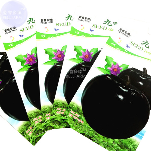 BELLFARM Black Round Eggplant Organic Big Vegetable Seeds, 5 packs, 50 seeds/pack, tasty giant home garden vegetables