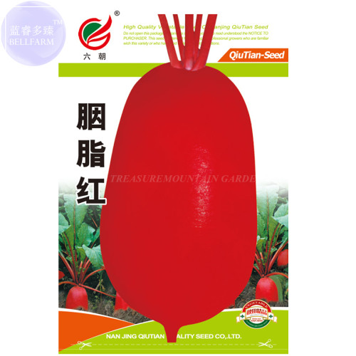 BELLFARM Radish Liuchao Dark Red Organic Vegetable Seeds, 200 seeds, Original pack, tasty edible Chinese turnip BD107H