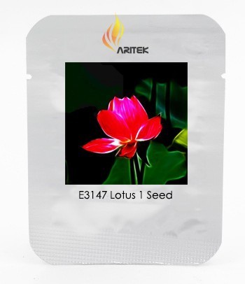 Heirloom Super Red Nelumbo Nucifera Lotus Flower Bonsai Seeds, Professional Pack, 1 Seed / Pack, Indoor Plant E3147