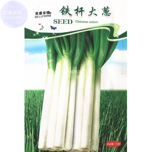 BELLFARM Chinese Bunching Onion Allium fistulosum Vegetable Seeds, 5 original packs, 100 seeds/pack, organic welsh spring onion