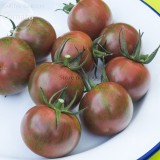 Artisan Purple Bumblebee Cherry Tomato, 100 seeds, organic edible tomato E3731