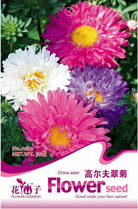 1 Original Pack, 30 Seeds / Pack, POWDER PUFF ASTER MIX Callistephus Chinensis Flower Seeds #A100