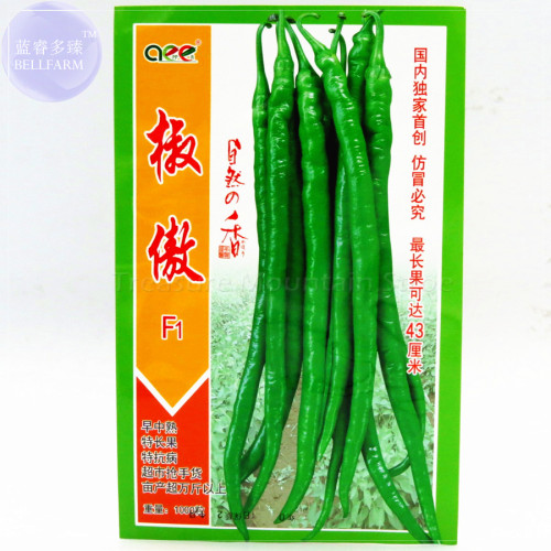 BELLFARM 'Jiao Ao F1' Green Super Long Line Hot Pepper Seeds, 1000 Seeds, Original Pack, high-yield 43cm long chili BD092H