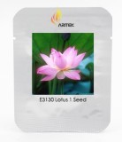 Heirloom Light Pink Fragrant Nelumbo Nucifera Lotus Flower Seeds, Professional Pack, 1 Seed / Pack, Attracting Bees E3130