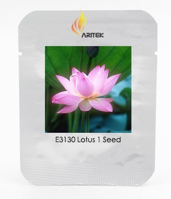 Heirloom Light Pink Fragrant Nelumbo Nucifera Lotus Flower Seeds, Professional Pack, 1 Seed / Pack, Attracting Bees E3130