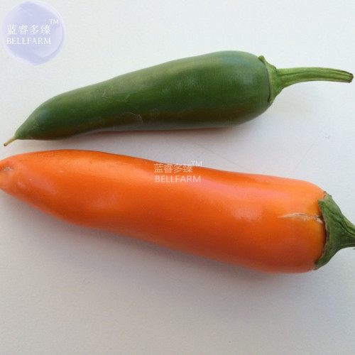 BELLFARM Chilli Bulgarian Carrot Hot Pepper Seeds, 20 seeds, professional pack, organic hot vegetables home garden
