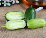 BELLFARM Miniature Dark Green (Light Green) Fruit Cucumber Seeds, 100 seeds, original pack, sweet fragrant crisp high yield