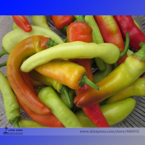 Hungarian Hot Yellow Wax Chili Pepper Organic Seeds, Professional Pack, 50 Seeds / Pack, Long Narrow Pepper E3119