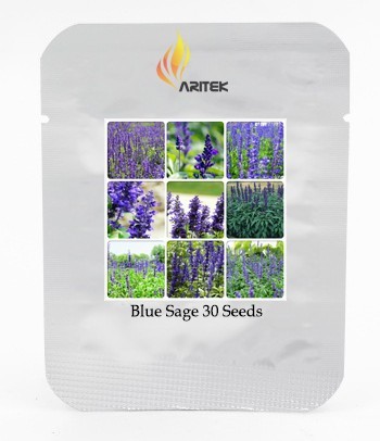Heirloom Victoria Salvia farinacea Sage Perennial Flower Seeds, Professional Pack, 30 Seeds / Pack, Very Beautiful Salvia E3435