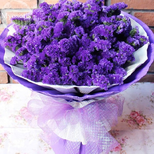 Blue Sea Lavender Limonium Sinuatum, 30 seeds, forget me not cut flowers E3753