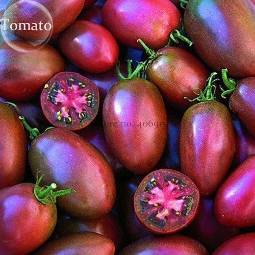 Ukranian Purple Cherry Tomato, 100 seeds, edible organic fruits E3743