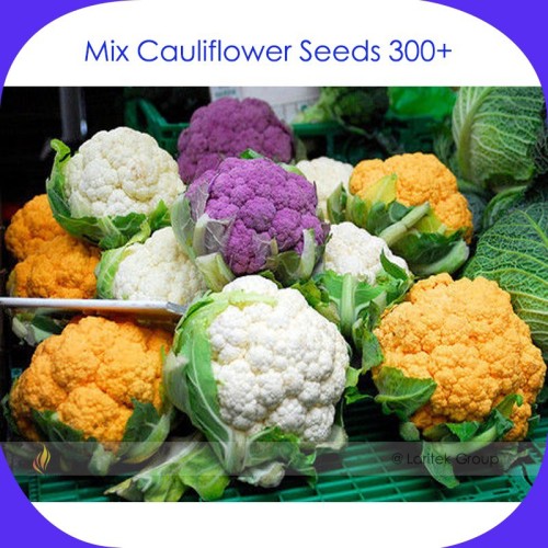 Mix Four Varieties Cauliflower Seeds, Professional Pack, 300 Seeds / Pack, Heirloom Organic Vegetables Golden Purple White Green