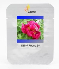 Rare 'Red Flag Fly' Tree Peony Strong Fragrant Flower Seeds, Professional Pack, 5 Seeds / Pack, Light Up your Home E3197