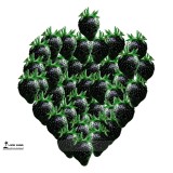 Rare Heirloom Super Black Strawberry Organic Seeds, Professional Pack, 100 Seeds / Pack, Great Tasty Juicy Rare Fruit E3064