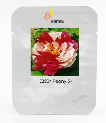 Heirloom 'Er Qiao' White Dark Red Fragrant Peony Tree Flower Seeds, Professional Pack, 5 Seeds / Pack, Beautiful Flower E3204