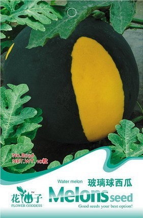 Black Yellow Skin Red Watermelon 'Crystal Ball' Seeds, Original Pack, 10 Seeds / Pack, Sweet Water Melon Fruit B036