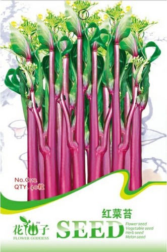 Organic Red Chinese Kale Vegetable Seeds, Original Pack, 40 Seeds / Pack, Tasty Brassica Campestris C112