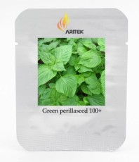 Heirloom Green Perilla Seeds, Professional Pack, 100 Seeds / Pack, Organic Refreshing Herbs E3380