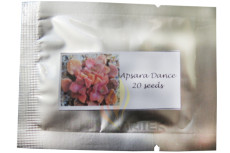 1 Professional Packs, 20 Seeds/Pack, Multi-Colored Apsara Dance Seeds Free Shipping