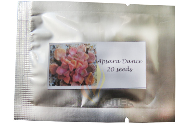 1 Professional Packs, 20 Seeds/Pack, Multi-Colored Apsara Dance Seeds Free Shipping