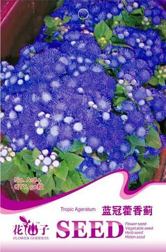 Blue Mexican Ageratum Flower Seeds, 1 Original Pack, 50 Seeds / Pack, Beautiful Tropical Whiteweed Flowers #A184