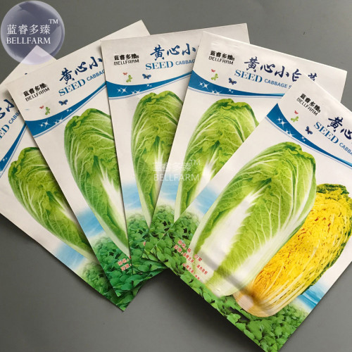 BELLFARM Little Chinese Cabbage Yellow Inside Vegetable Seeds, 5 packs, 50 seeds/pack, organic pak choi for home garden