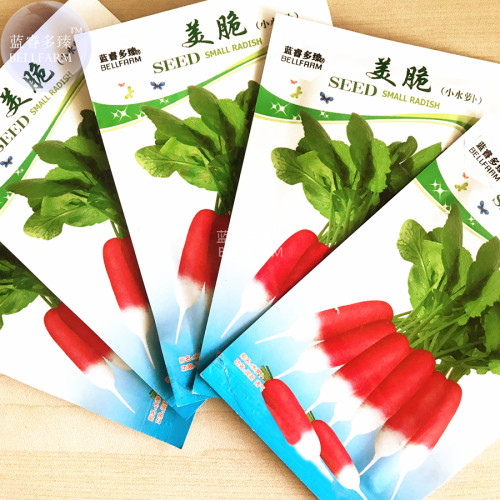 BELLFARM Radish Red Body White Root Organic Vegetable Seeds, 5 packs, 60 seeds/pack, swwet crisp fast growing vegetables