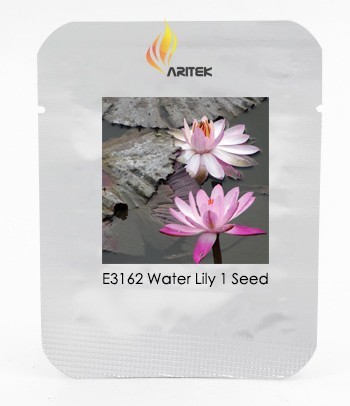 Heirloom Office Desk Small Pink Water Lily Seeds, Professional Pack, 1 Seed / Pack, Interesting Desk Bonsai Plant E3162