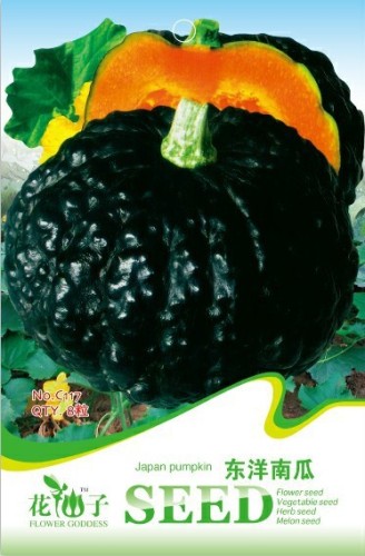 1 Original Pack, 8 seeds / pack, Rare Japanese Black Pumpkin, Organic Non-gmo Heirloom Vegetables #C117