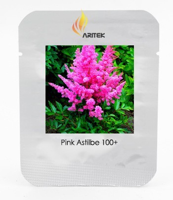 Younique Cerise Pink Astilbe Perennial Flower Seeds, Professional Pack, 100 Seeds / Pack,  Positively Bursting with Fine Flowers