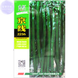 BELLFARM 'Jing Line 2216' Dark Green Line Hot Pepper Seeds, 1000 Seeds, Originall Pack, high-yield long chili vegetables BD090H