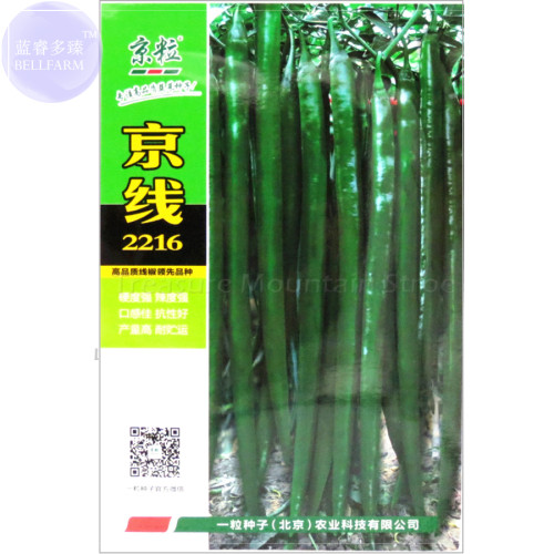 BELLFARM 'Jing Line 2216' Dark Green Line Hot Pepper Seeds, 1000 Seeds, Originall Pack, high-yield long chili vegetables BD090H