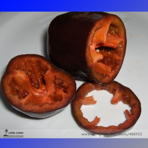 Rare Sweet Chocolate Pepper F1 Seeds, Professional Pack, 50 Seeds / Pack, Ripen Early Vegetables E3116