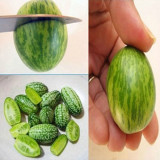 1 Professional Pack, 2 seeds / pack, Mexico Miniature Watermelon Seeds Thumb-sized Water Melon New Rare Seeds #NF405
