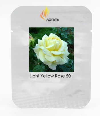 Large Light Rose Flower Seeds, Professional Pack, 50 Seeds / Pack, Light Fragrant Rose #LG00033
