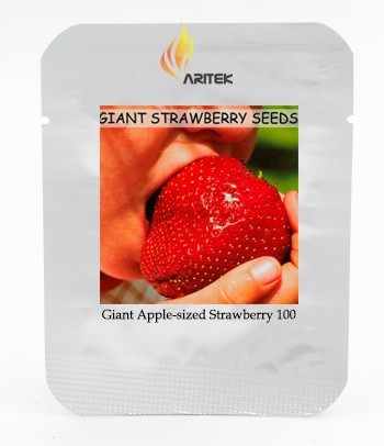 Super Giant Red Strawberry Fruit Seeds Apple Maximus Sized, Professional Pack, 100 Seeds / Pack, Sweet Tasty Juicy Organic