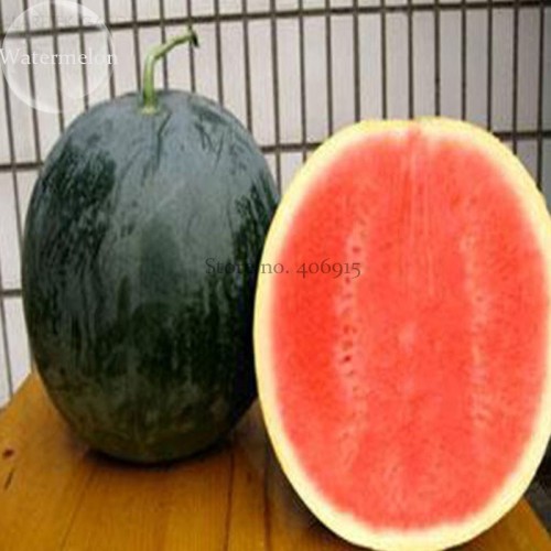 Yellow / Black Skin Watermelon with red meat, 20 seeds Organic juicy sweet big melon E3741