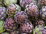 BELLFARM Artichoke Purple Violet De Provence Vegetable Seeds, 4 seeds, professional pack, heirloom organic vegetables