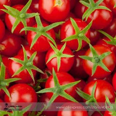 'Tonglin' Small Round Rose Red Cherry Tomato Seeds, Professional Pack, 100 Seeds / Pack, Hybrid Tasty Fruit E3403