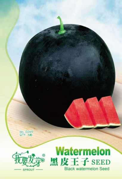 Heirloom Black Round Red Seedless Watermelon Seeds, Original Pack, 6 Seeds / Pack, Sweet Juicy Melon #TS057