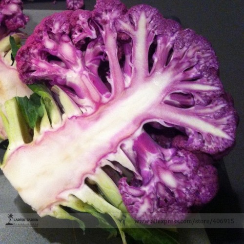Graffiti Dark Purple Cauliflower Hybrid Brassica Oleracea Seeds, Professional Pack, 50 Seeds / Pack, Edible Tasty Vegetables
