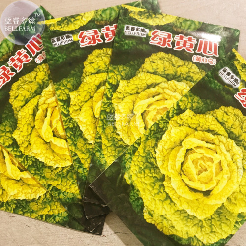 BELLFARM Chinese Cabbage Green-to-yellow 'Huangxinwu' Vegetable Seeds, 5 packs, 100 seeds/pack, tasty organic hardy home garden