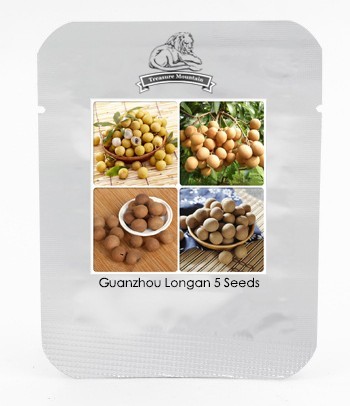 Guanzhou Longan Fruit Seeds, Professional Pack, 5 Seeds / Pack, Tasty Sweet Fruits TS124