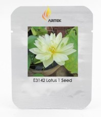 Very Rare White Nelumbo Nucifera Lotus Flower with Green End Seeds, Professional Pack, 1 Seed / Pack, Fragrant Lotus E142