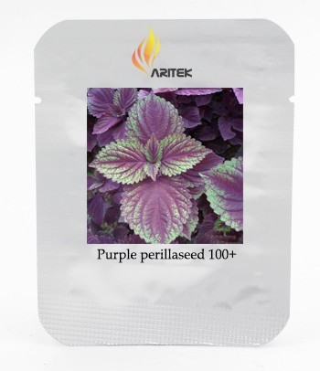 Heirloom Purple Perillaseeds, Professional Pack, 100 Seeds / Pack, Organic Refreshing Herbs E3381
