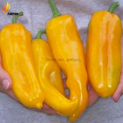 Rare Heirloom Giant Marconi Sweet Peppers Vegetables, 100 Seeds, hybrid red green yellow colors E3530