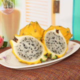 BELLFARM Rare Large Yellow Dragon Fruit  Pitaya Organic Seeds, Professional Pack, 30 Seeds / Pack, Sweet Tasty Fruits E3267