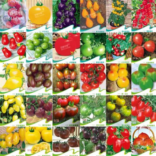 BELLFARM Tomato Cherry 30 Types Seeds, 30 packs, original pack, heirloom new home garden organic vegetables tasty heirloom
