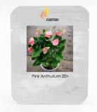 100% True Variety Rare Different Perennial Anthurium Flower Bonsai Seeds, Professional Pack, 20 Seeds / Pack, Hardy Plants E3243